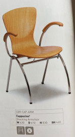 Cappucino Arm Chair