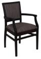 Suzana Arm Chair