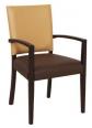 Tulip Arm Chair